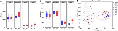 Fungi-Bacteria Associations in Wilt Diseased Rhizosphere and Endosphere by Interdomain Ecological Network Analysis